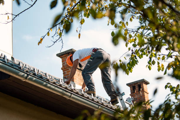 Best Gutter Installation and Roofing  in Coralville, IA