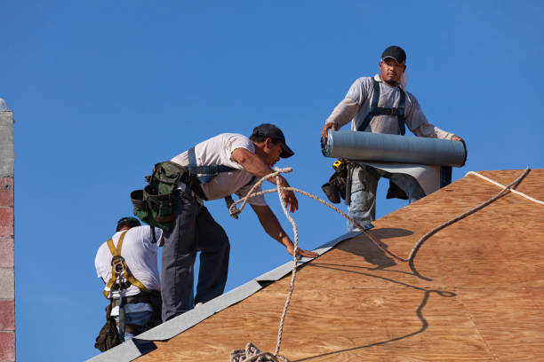 Best Flat Roof Repair Services  in Coralville, IA